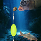 🎣⚡ Doppelhaken-Reverse-Bottom-Rig! Die verbesserte Version steigert die Anschlussrate um 56% – Schluss mit Hängenbleiben! 🎣