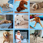 ⏳🔥NUR FÜR BEGRENZTE ZEIT: 50 % RABATT! 🐶 Kühlmatte für Hunde – 4-mal effektivere Kühlung für heiße Sommertage ❄️✨
